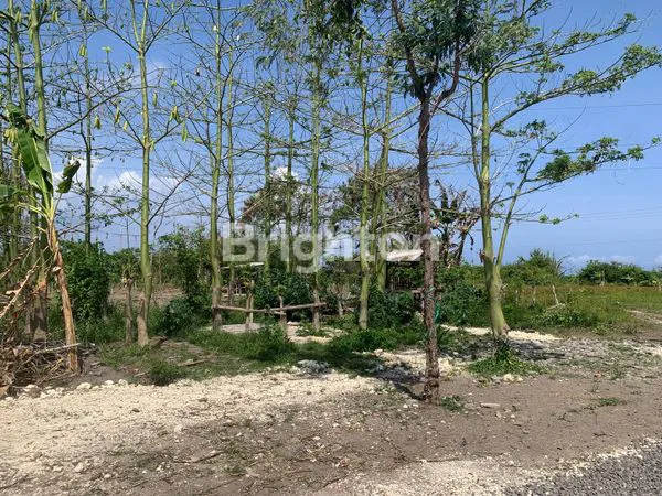 image 1,8 HEKTAR TANAH STRATEGIS DI BYPASS IDA BAGUS MANTRA (3)