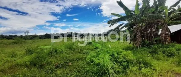 image TANAH UNTUK PABRIK DAN INDUSTRI (3)