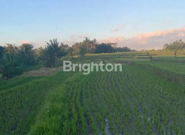 image RIVER & PADDY TERRACE VIEW FREEHOLD LAND @KEDUNGU (2)