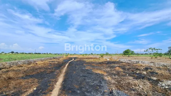 image DRIYOREJO DEKAT ALANA HILL DAN DE NAILA PARK COCOK BUAT INVETS (1)