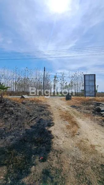 image DRIYOREJO DEKAT ALANA HILL DAN DE NAILA PARK COCOK BUAT INVETS (3)