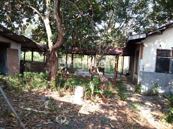 image SUPER STRATEGIS, SELANGKAH MALIOBORO, AREA KULINER CAFE, HOTEL GUEST HOUSE, KAMPUS, PUSAT BISNIS,PATANGPULUHAN EX KLINIK RUMAH SAKIT (3)