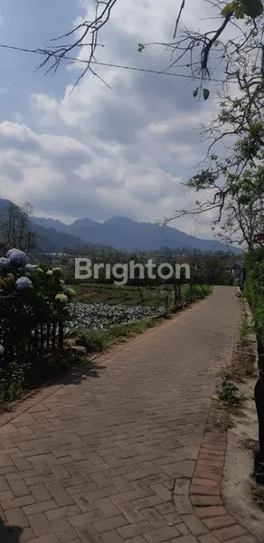 image DIJUAL TANAH AREA BATU , KEBUN APEL AKTIF (1)