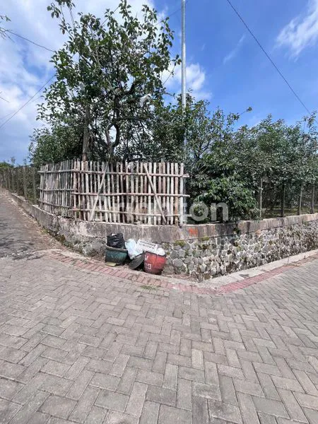 image DIJUAL TANAH AREA BATU , KEBUN APEL AKTIF (2)