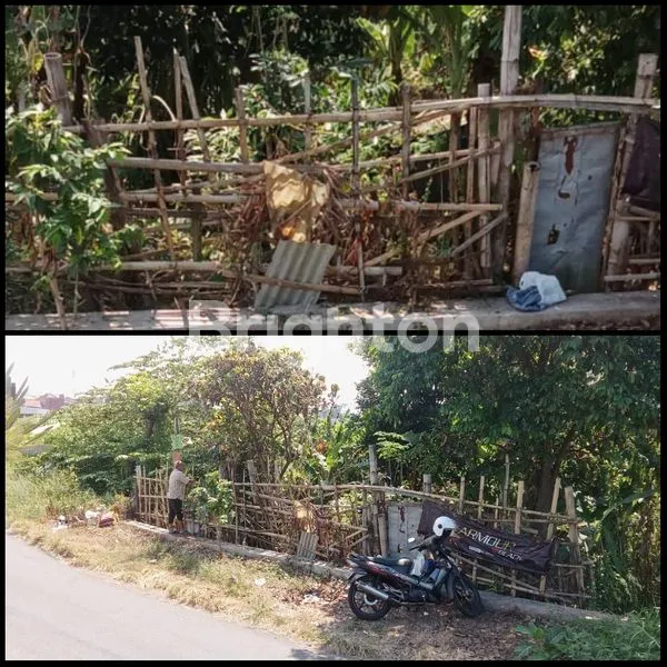 Gambar Property JUDUL LISTINGTANAH SIAP BANGUN LOKASI KAWASAN KAMPUS DI TLOGOMAS MALANG