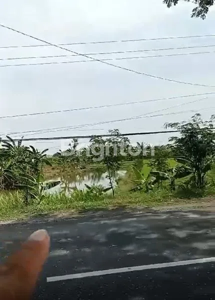 image TANAH LUAS DAN STRATEGIS DI PINGGIR JALAN PROVINSI  (1)
