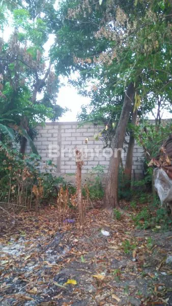 image TANAH SIAP BANGUN PANTURA KAWASAN INDUSTRI ZONA KUNING DI TEGAL (3)