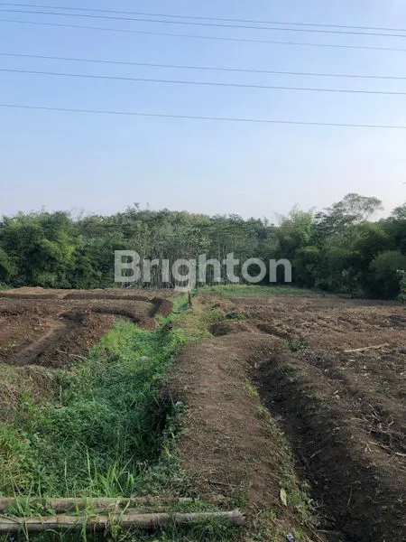 image TANAH 5.000M2 DI SUKUN MALANG (1)