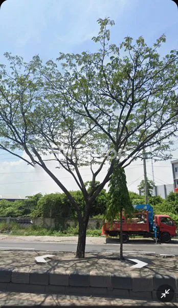 image TANAH DI KALIWUNGU KENDAL  (4)