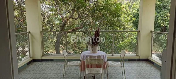 image RUMAH ASRI, TANAH LUAS DENGAN KOLAM RENANG (4)