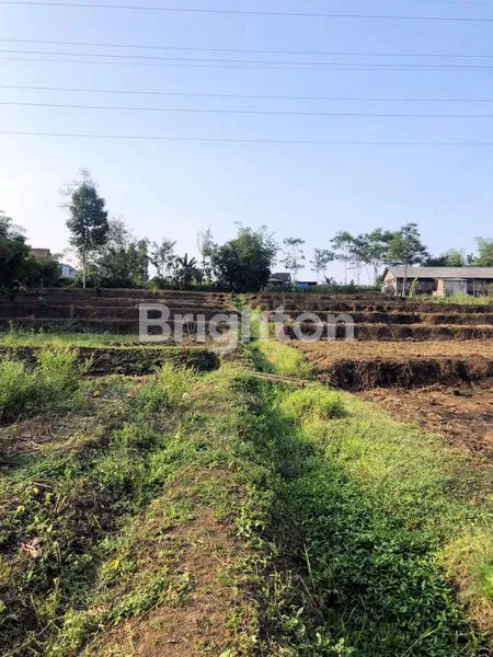 image TANAH PERTANIAN LUAS MULYOREJO SUKUN (1)