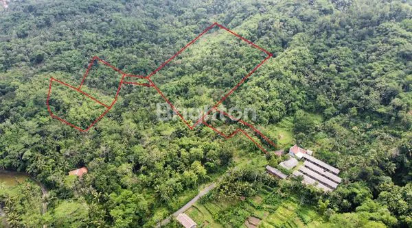 DIJUAL TANAH DI PANCASAN BANYUMAS