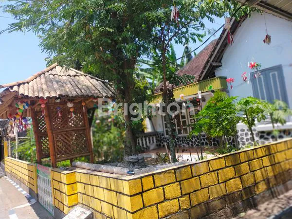 image RUMAH LAHAN LUAS (6)