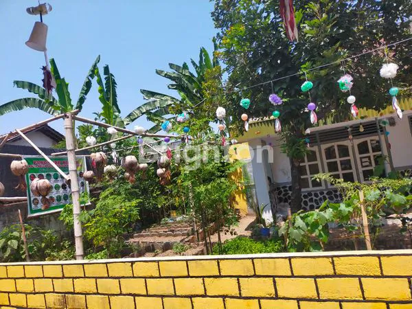 image RUMAH LAHAN LUAS (3)