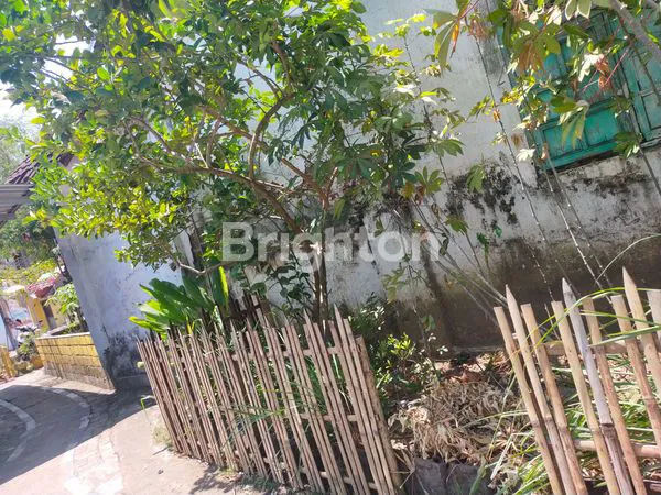 image RUMAH LAHAN LUAS (7)