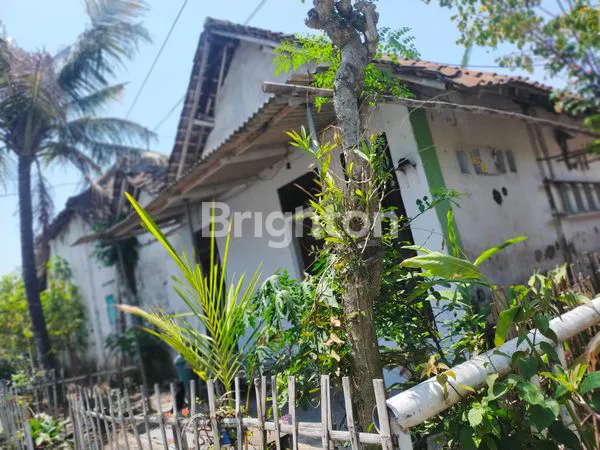 image RUMAH LAHAN LUAS (5)