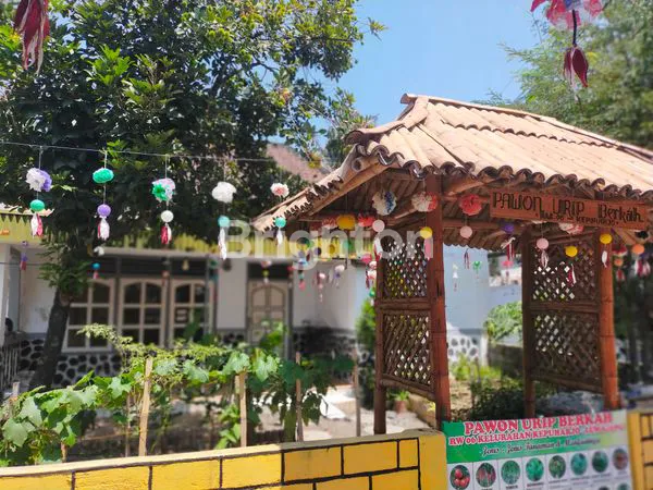 image RUMAH LAHAN LUAS (1)