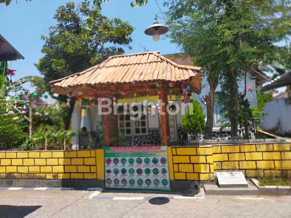 image RUMAH LAHAN LUAS (2)