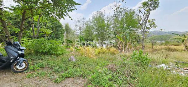 image TANAH INVESTASI, 55% DI BAWAH HARGA NJOP, STRATEGIS DEKAT UNDIP (2)