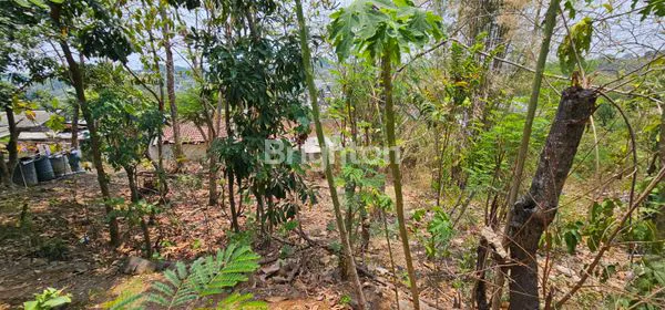 image TANAH INVESTASI, 55% DI BAWAH HARGA NJOP, STRATEGIS DEKAT UNDIP (6)