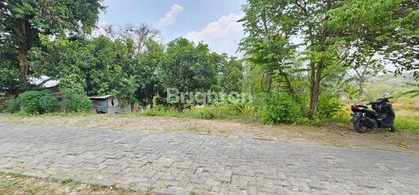 image TANAH INVESTASI, 55% DI BAWAH HARGA NJOP, STRATEGIS DEKAT UNDIP (7)