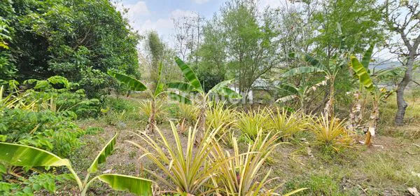 image TANAH INVESTASI, 55% DI BAWAH HARGA NJOP, STRATEGIS DEKAT UNDIP (8)