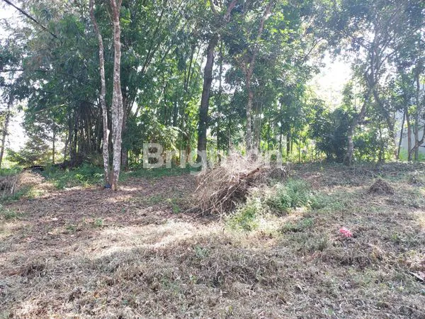 image TANAH LUAS STRATEGIS DI GUNUNGPATI (1)