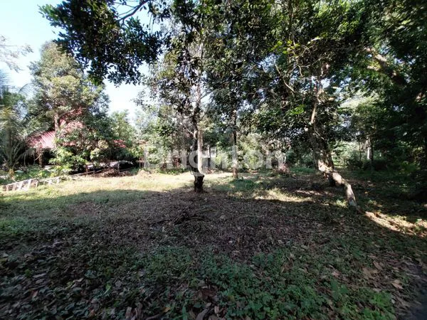 image TANAH LUAS STRATEGIS DI GUNUNGPATI (4)