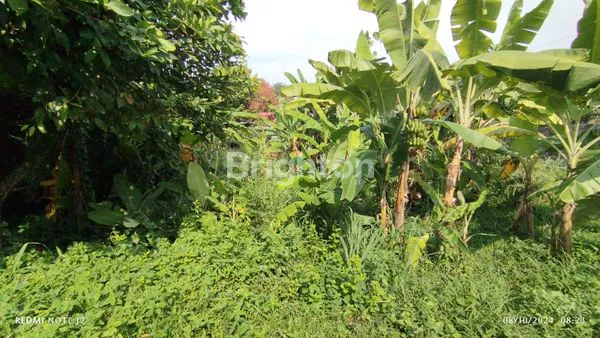 image LAHAN STRATEGIS 296M² SHM DI KEDUNG HALANG (8)