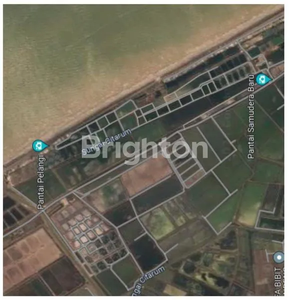 image TANAH GRATIS TAMBAK UDANG DI KARAWANG (2)