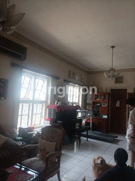 image BUTUH CEPAT LAKU RUMAH KAPUAS COCOK BUAT KANTOR / USAHA (8)