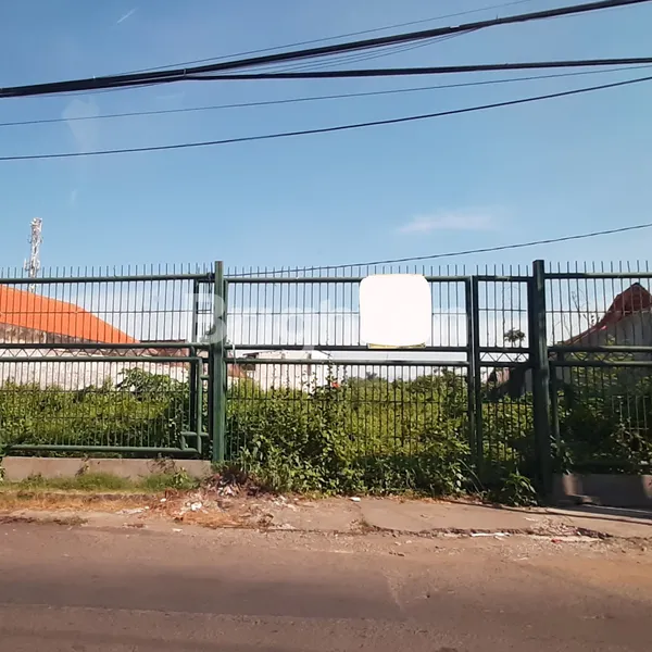 image TANAH RAYA LONTAR (1)