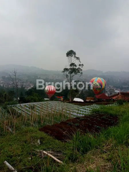 image TANAH DI LEMBANG COCOK DI BANGUN VILLA (3)