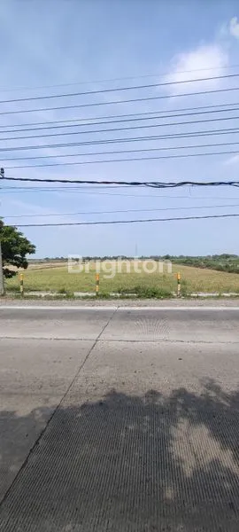 image TANAHH TAMBAK O JALAN PROPINSI  GRESIK (2)