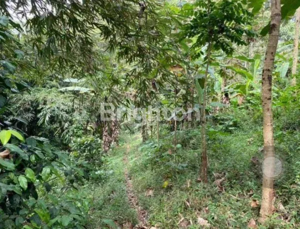 image TANAH LUAS DI KABUPATEN SUMEDANG, COCOK UNTUK INVESTASI ATAU PERUMAHAN CLUSTER (4)