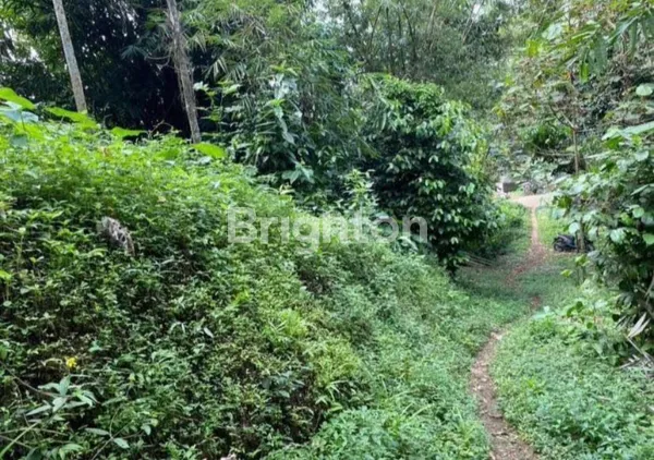 image TANAH LUAS DI KABUPATEN SUMEDANG, COCOK UNTUK INVESTASI ATAU PERUMAHAN CLUSTER (5)