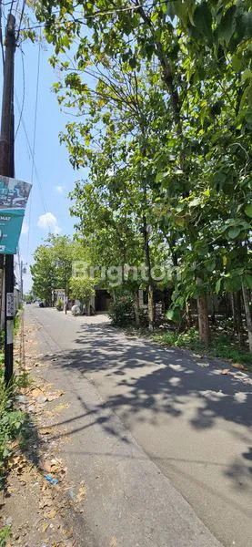 TANAH ADA KAYU JATI COLOMADU SURAKARTA