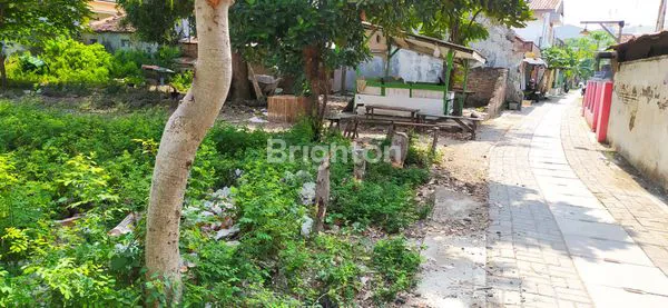 TANAH DI TENGAH KOTA SIAP BANGUN DI RANDU GUNTING TEGAL