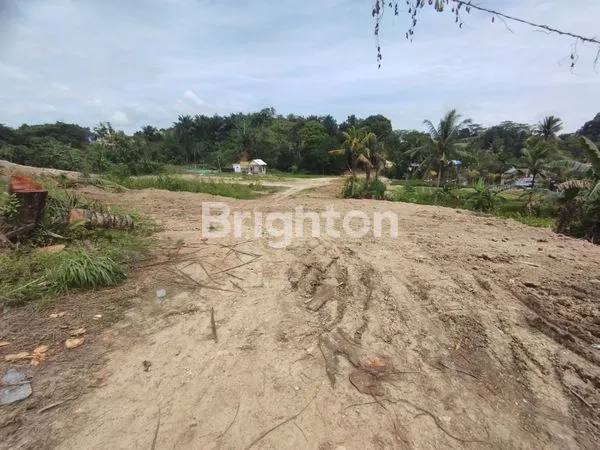 image LAHAN STRATEGIS DI JALUR TRUK KONTAINER (3)