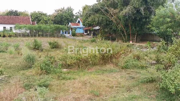 image TANAH DIJUAL (2)