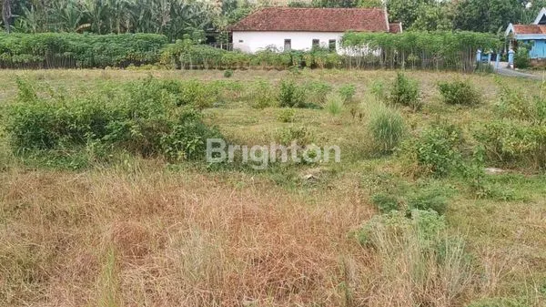 image TANAH DIJUAL (1)