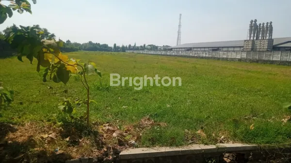 image LAHAN DI DESA KARANGKETUG PASURUAN KOTA (1)