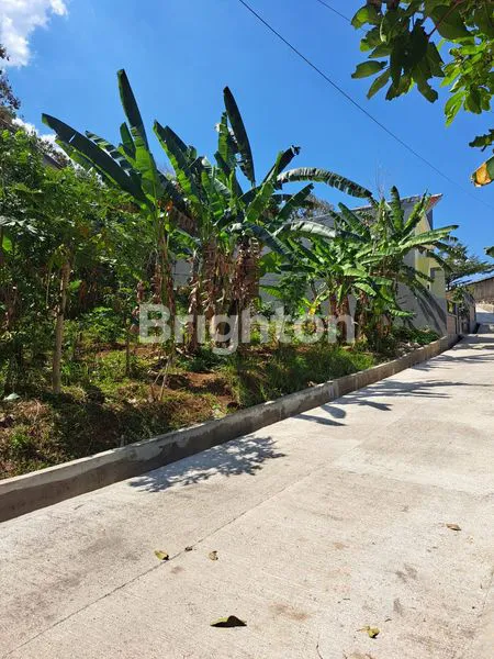 TANAH KAVLING GANDENG, DEKAT UNIV. SATYA WACANA