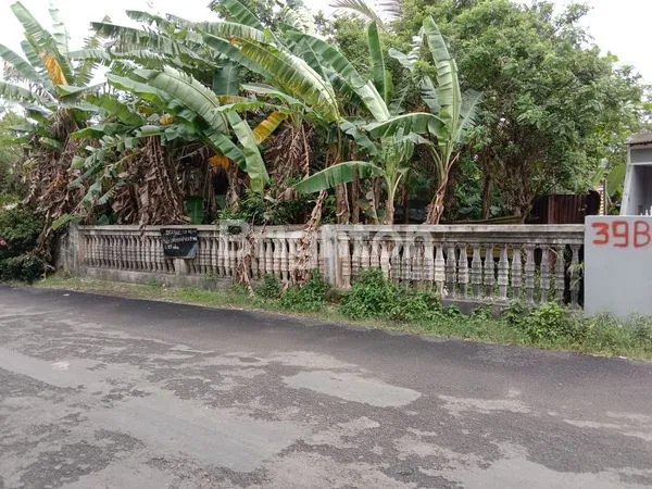 image TANAH PEKARANGAN DI CILACAP (2)