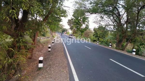 image TANAH DATAR LUAS KEBUN MANGA (7)