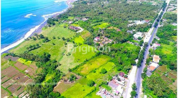 image BEACHFRONT LAND BEST CHOICE FOR INVESTMENT (5)