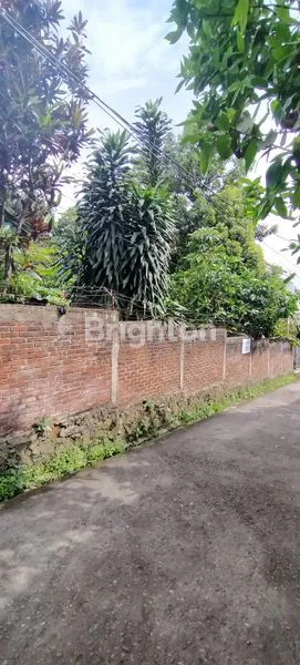 image TANAH CIBOGO SIAP BANGUN (1)