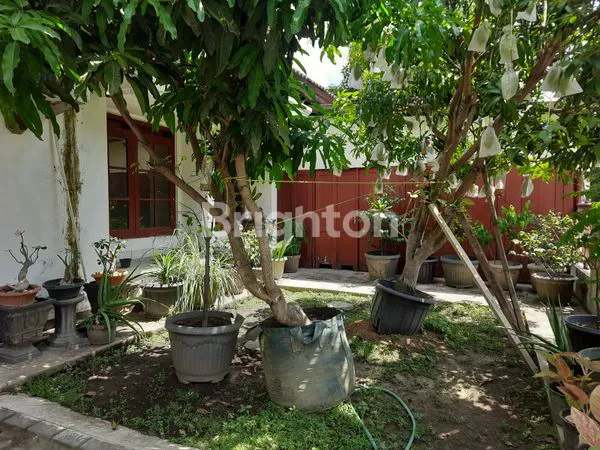 image RUMAH SIAP HUNI SANGAT NYAMAN (2)