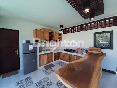 image VILLA DI DENPASAR (3)