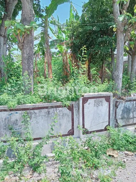 JIWAN MADIUN DISEWAKAN TANAH DIDESA YG SETRATEGIS